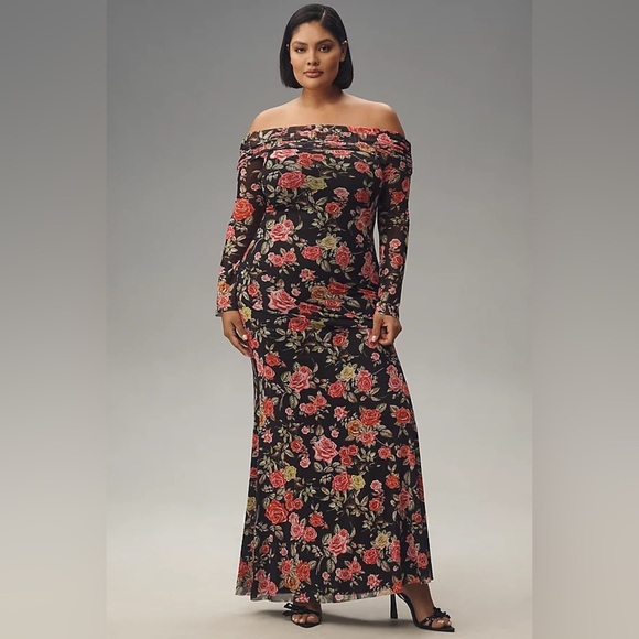 NWT! Anthropologie AFRM Long-Sleeve Off-The-Shoulder Mesh Maxi Dress - Small 🐬 - Picture 2 of 8